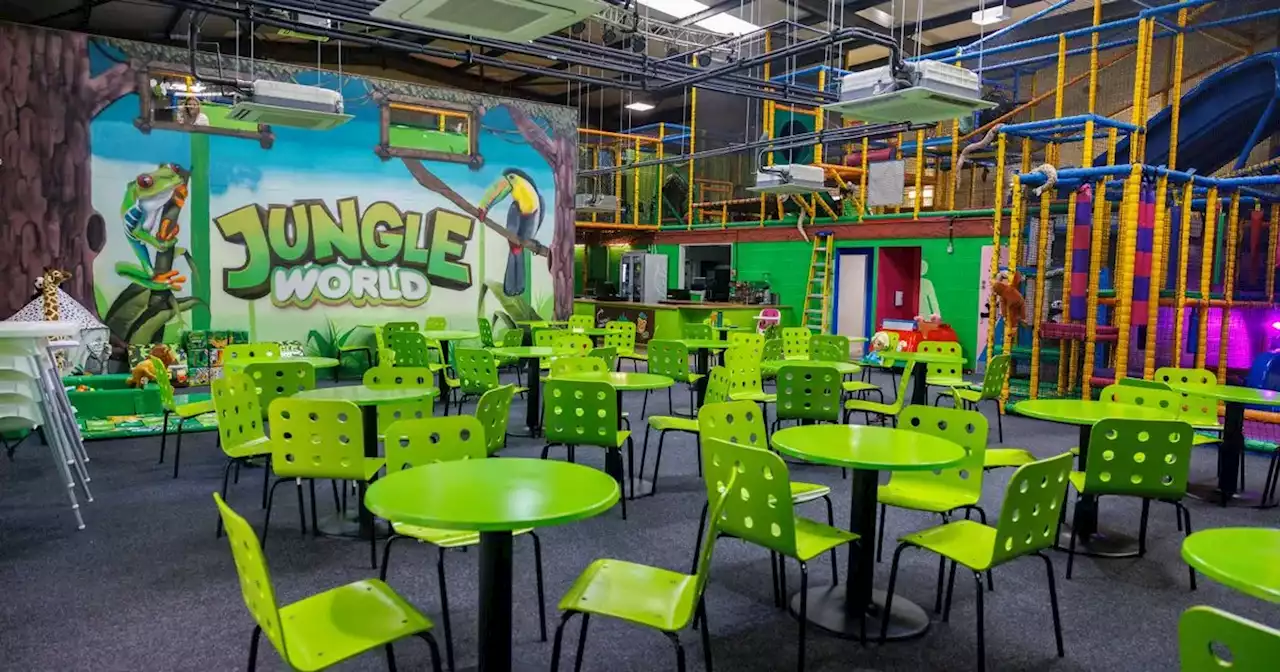 - exploring new Jungle-themed soft play in Leyland