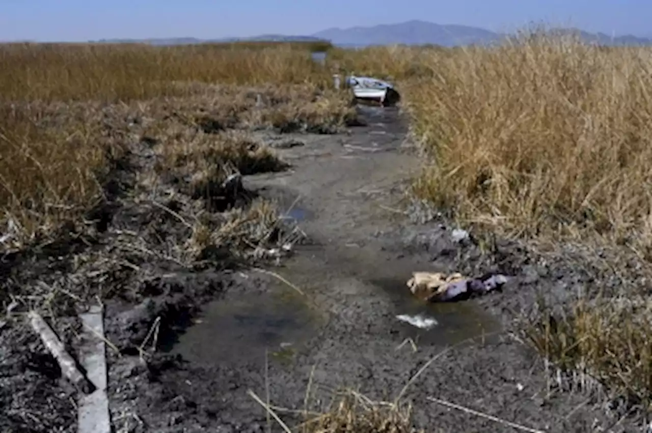 High in the Andes, Lake Titicaca’s water levels fall to historic lows