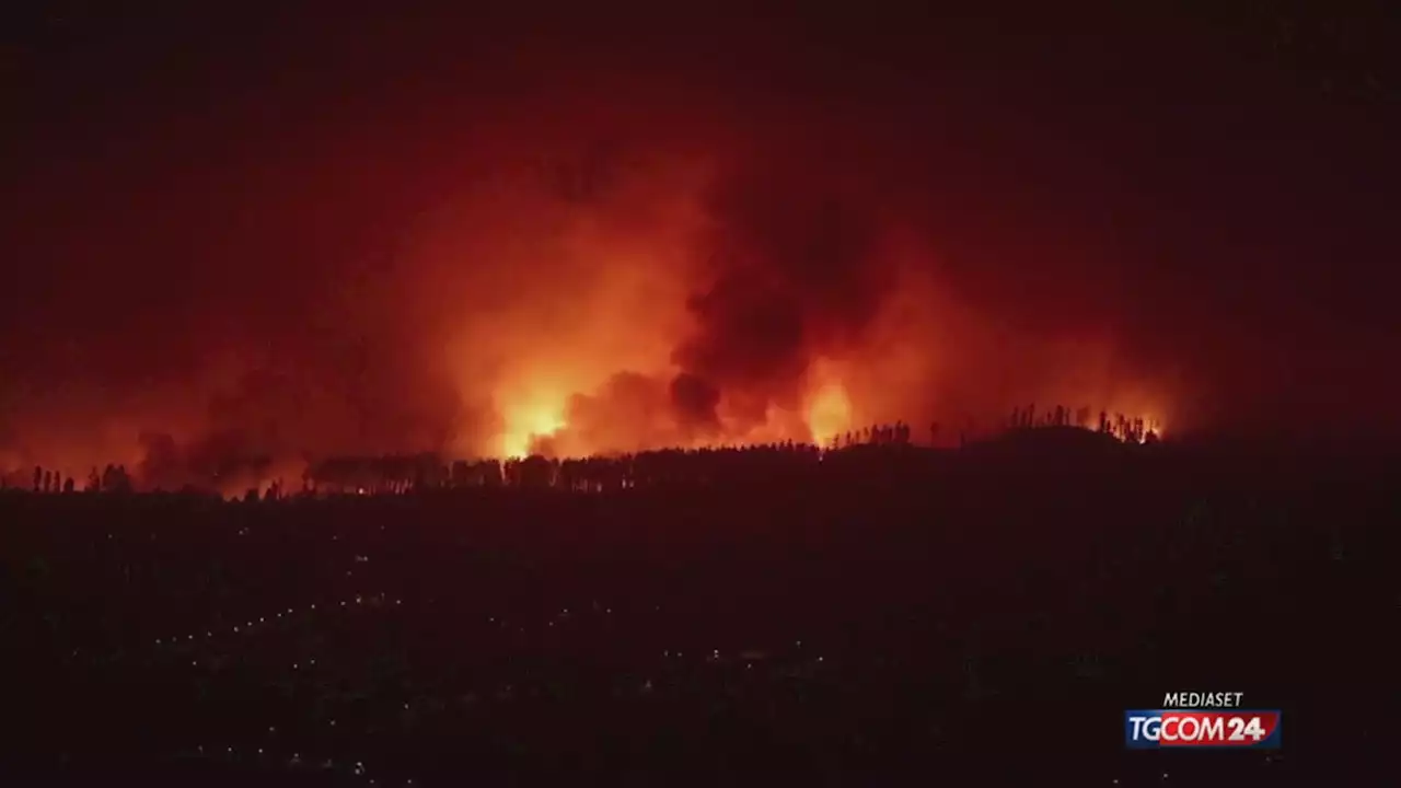 Emergenza incendi nel mondo: da Tenerife al Canada