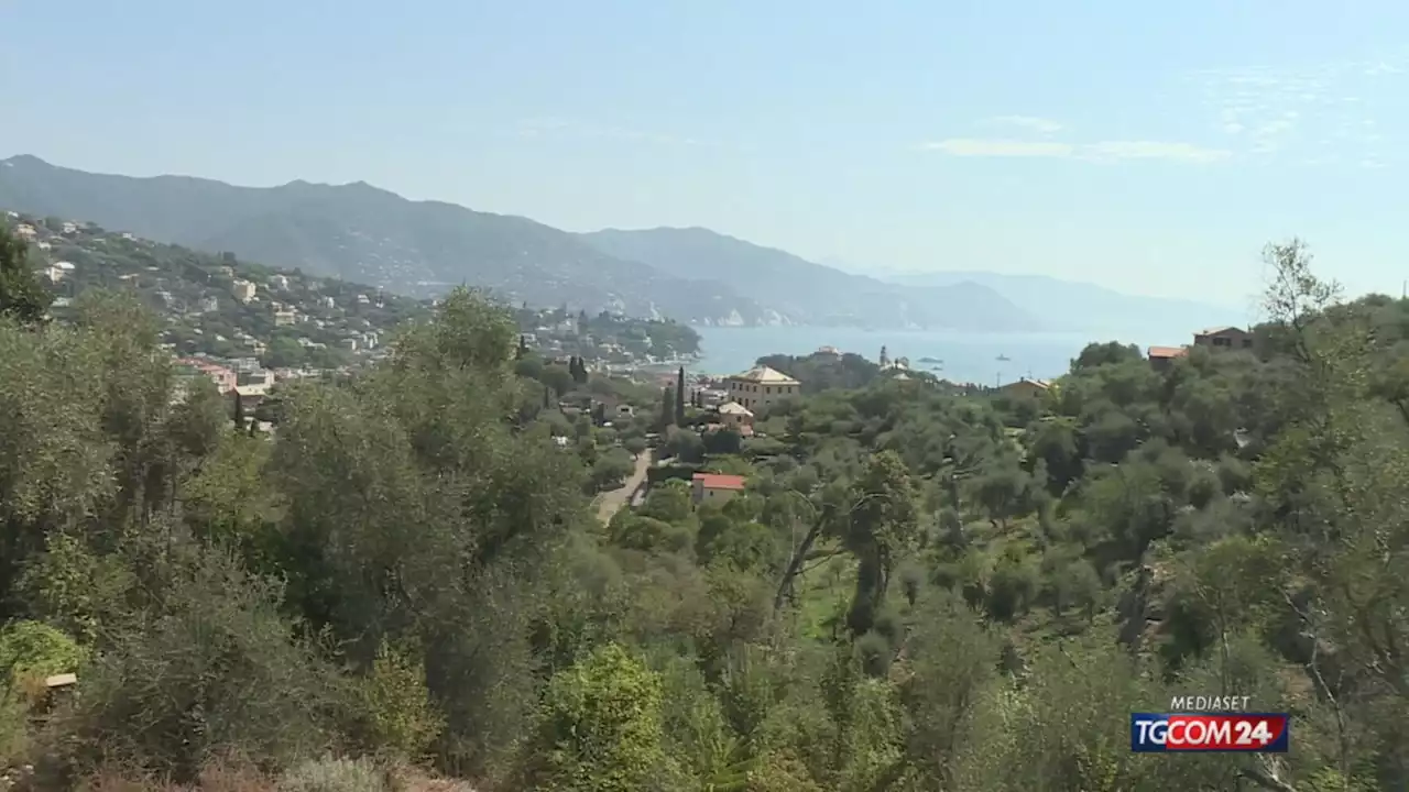 Santa Margherita Ligure, lite condominiale: 30enne ucciso a coltellate