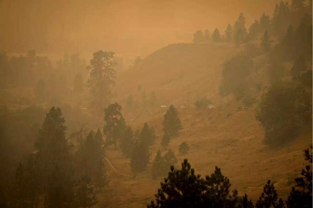 Canadian firefighters wage epic battle to save communities after mass evacuations