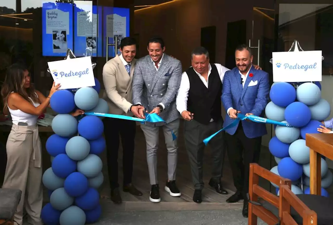 Inauguran Pets in the Sky en el Pedregal, CdMx