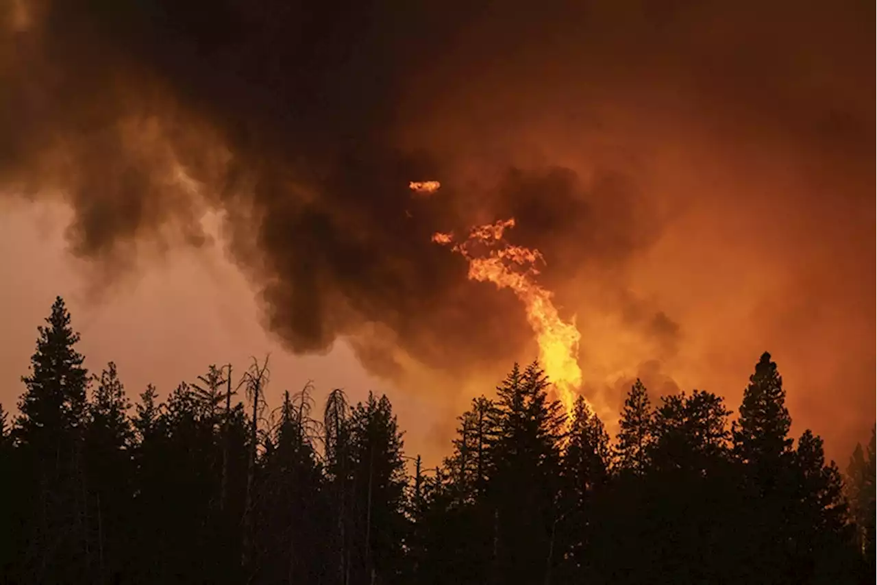 Mass evacuations as Tenerife wildfire rages out of control