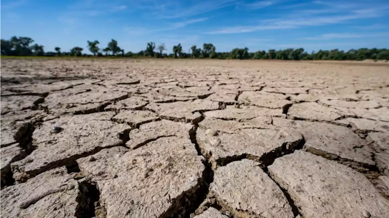 Faktencheck: Warum Böden trotz mehr Regen trockener werden