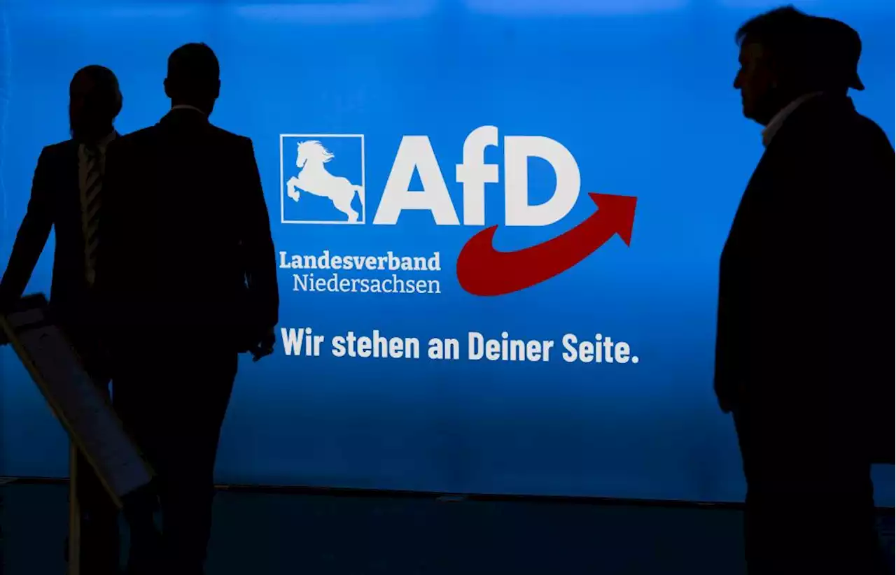 Psychologe erklärt: Darum ist die AfD aktuell so erfolgreich wie nie zuvor