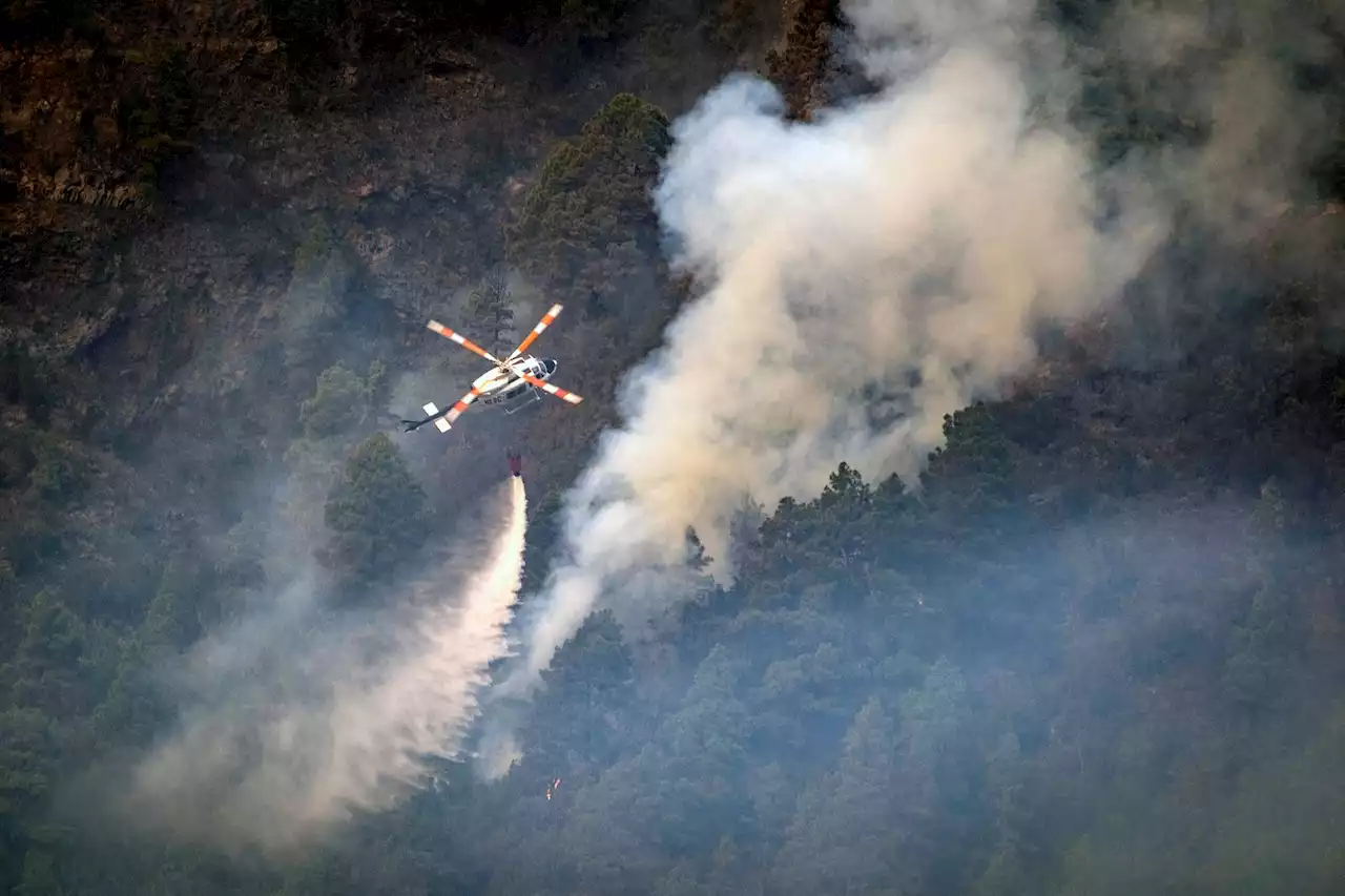 Waldbrand auf Teneriffa erfasst bereits 10.000 Hektar