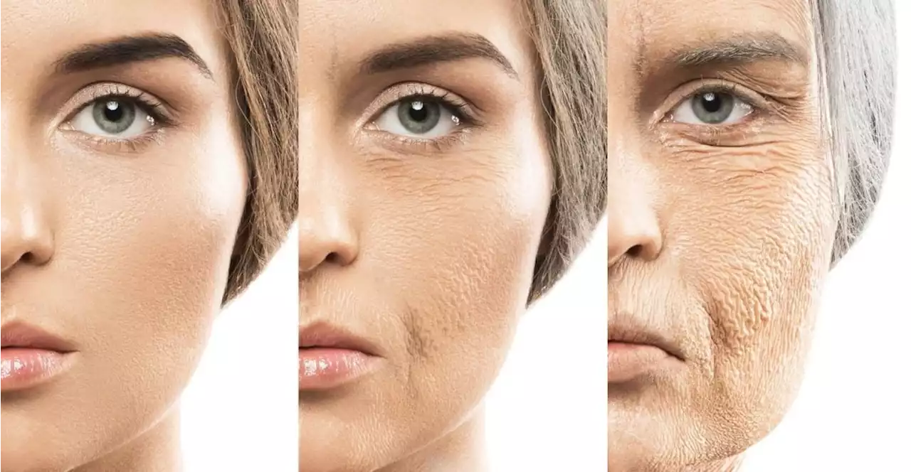 Can we reverse or stop ageing completely?