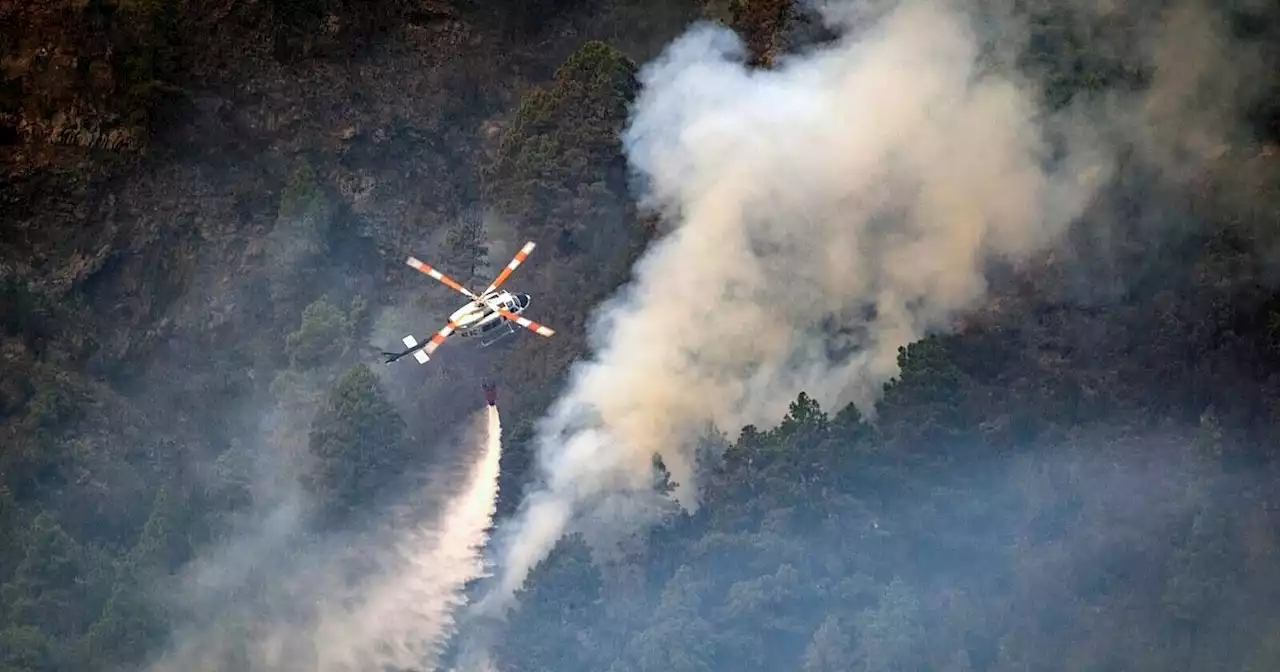 Waldbrand auf Teneriffa erfasst bereits 10.000 Hektar