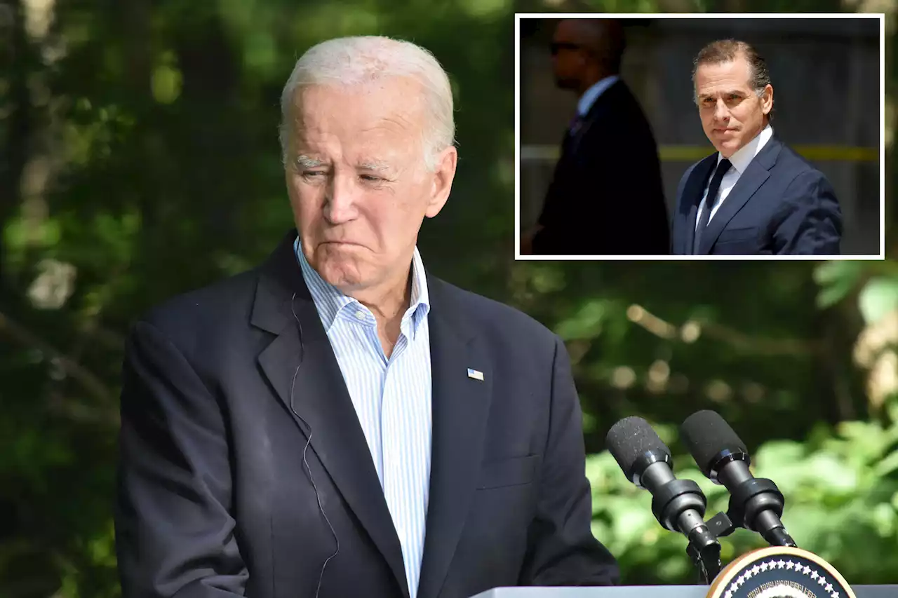 Hunter Biden’s lawyers threatened to put president on the stand: report