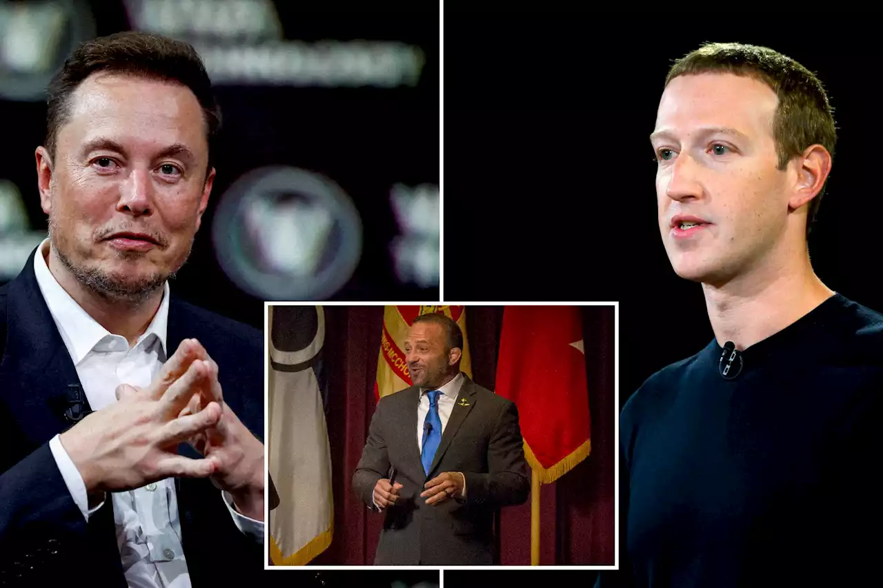 MMA champs offer to train Elon Musk for cage match — because they hate Mark Zuckerberg