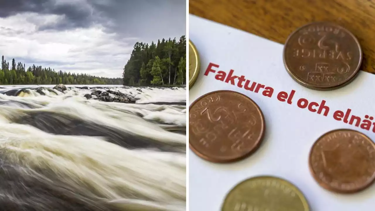 Från chock till rea – billigaste elen på flera år