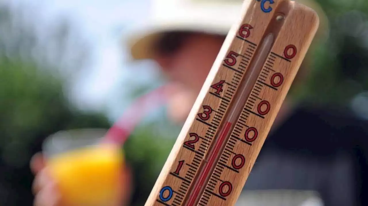 Canicule : à quelle sauce la chaleur va-t-elle accommoder la Loire-Atlantique cette semaine ?