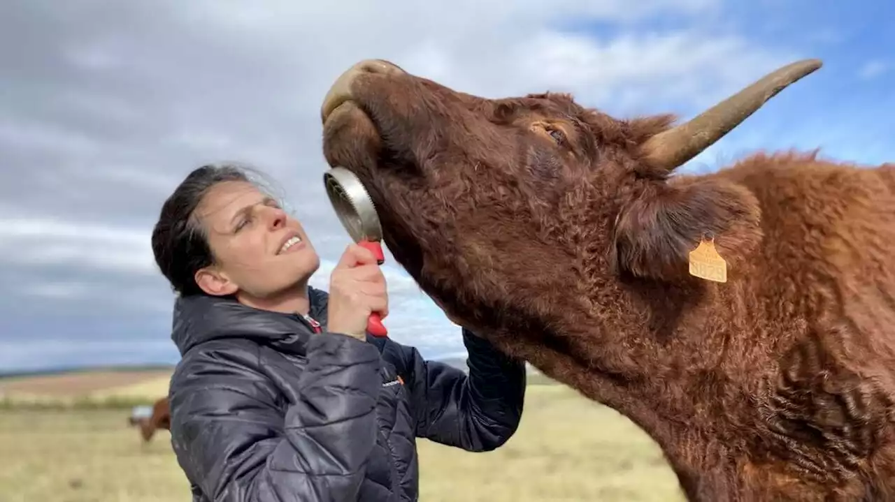 Éleveuse dans le Cantal, elle est aussi coach pour les vaches, les chevaux, les ânes…