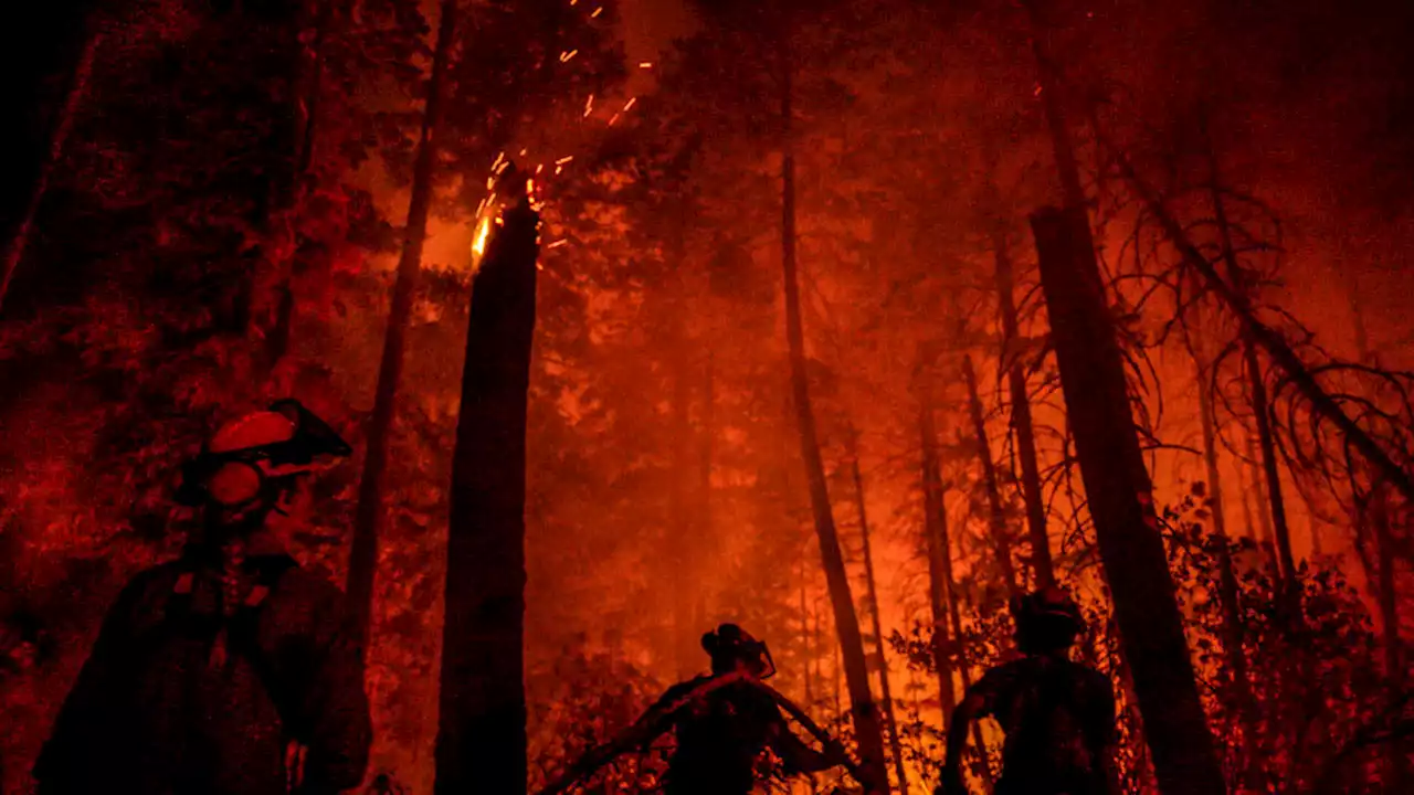 | Miles de evacuados y de hectáreas arrasadas por incendios en Canadá, Estados Unidos y Grecia; brutales olas de calor en Francia e Italia