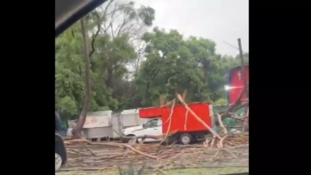 Lluvias en CDMX provocan caída de árboles, encharcamientos y un incendio en Cerro de la Estrella