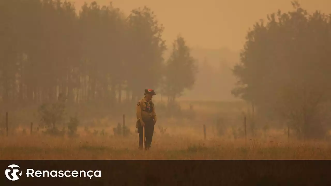 Canadá retira 30 mil famílias das casas por causa dos incêndios