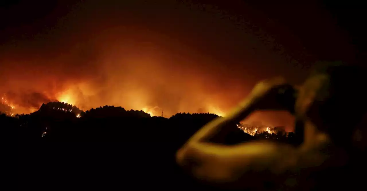 Tens of thousands evacuated as wildfire burns out of control on Spain's Tenerife