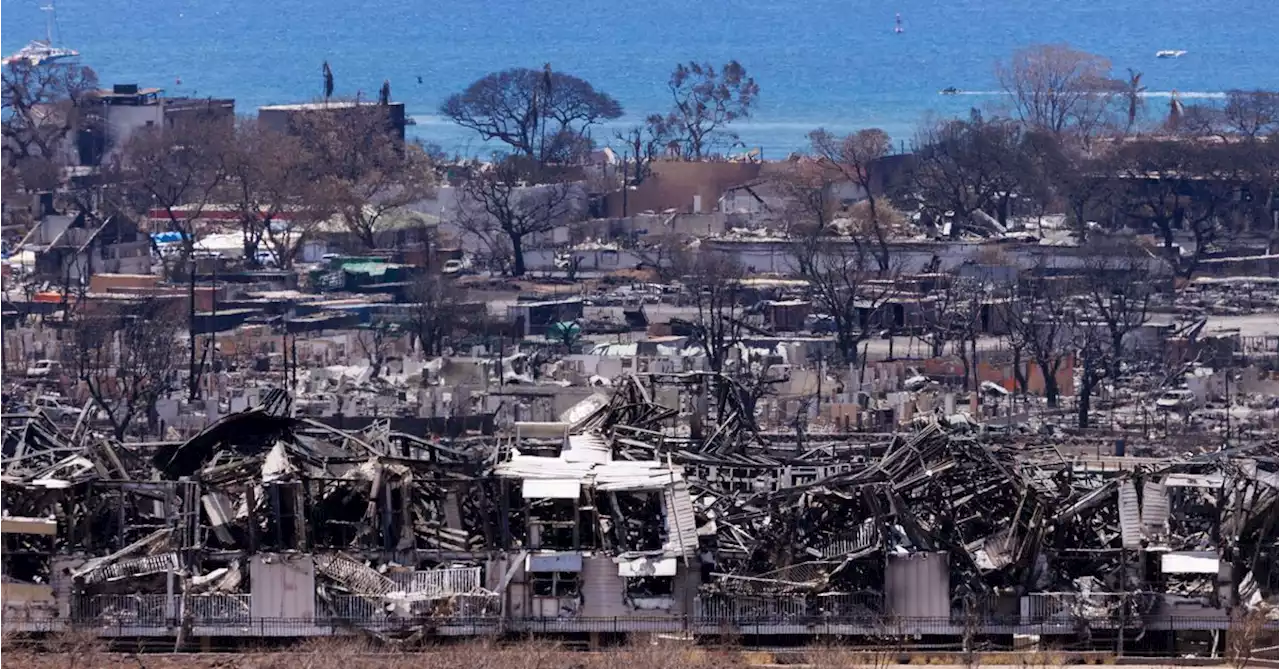 The doctors, dentists and anthropologists striving to identify Maui's victims