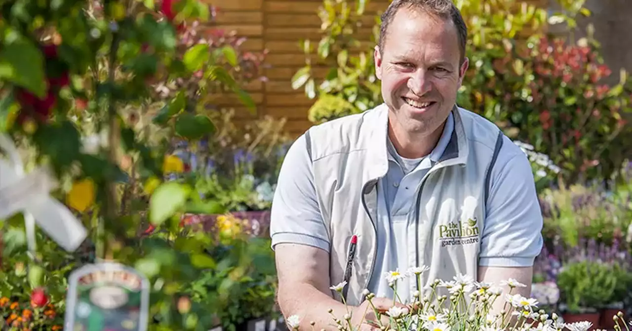 Expert gardener says you could be ruining your lawn by mowing it at wrong time