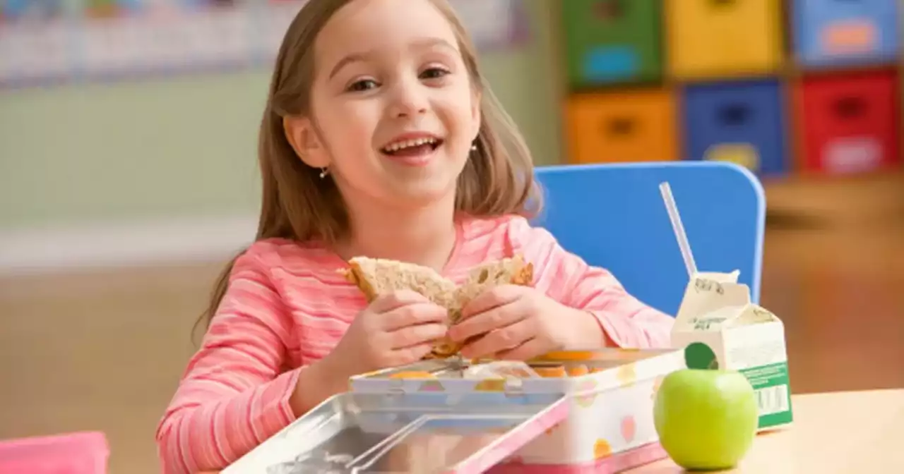 Nutrition expert shares the best foods to put in back to school lunchboxes