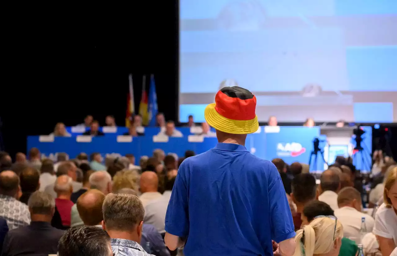 AfD Niedersachsen wählt Sonja Nilz als Generalsekretärin