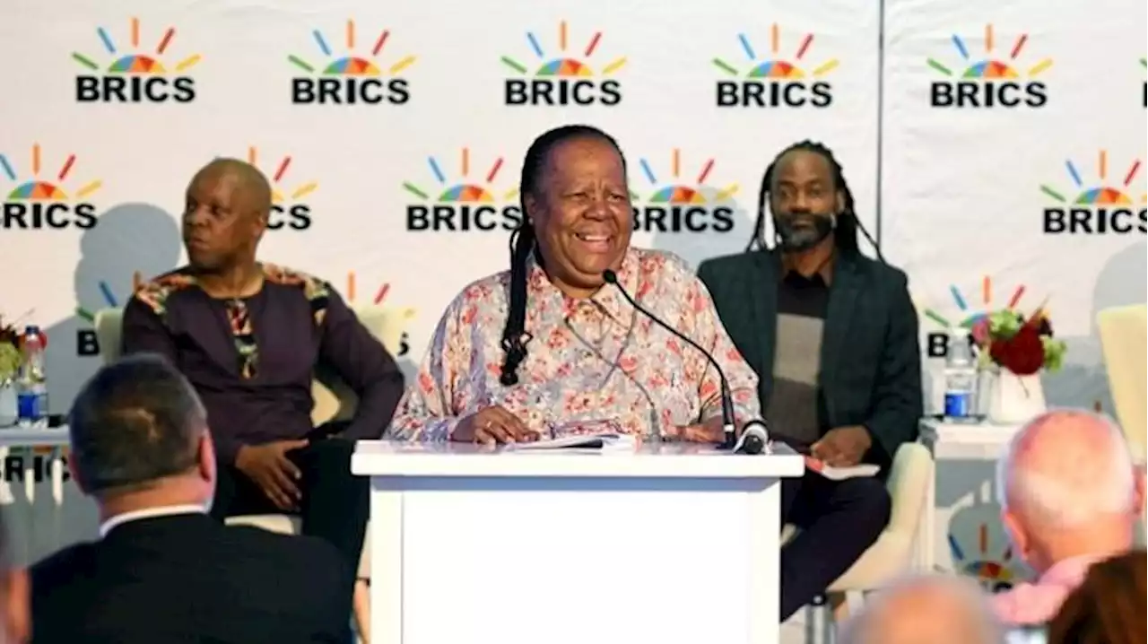 BRICS bloc discussed greater use of local currencies for trade purposes: Pandor