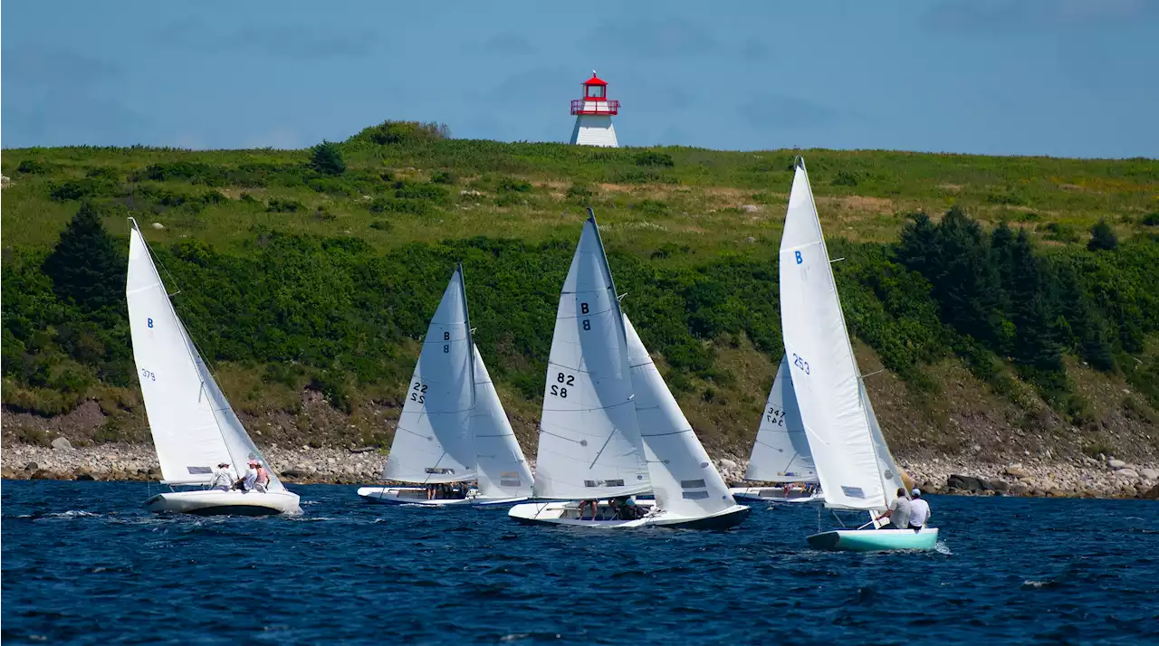 Lisa Ross guides Hot Sauce to Bluenose title to highlight Chester Race Week