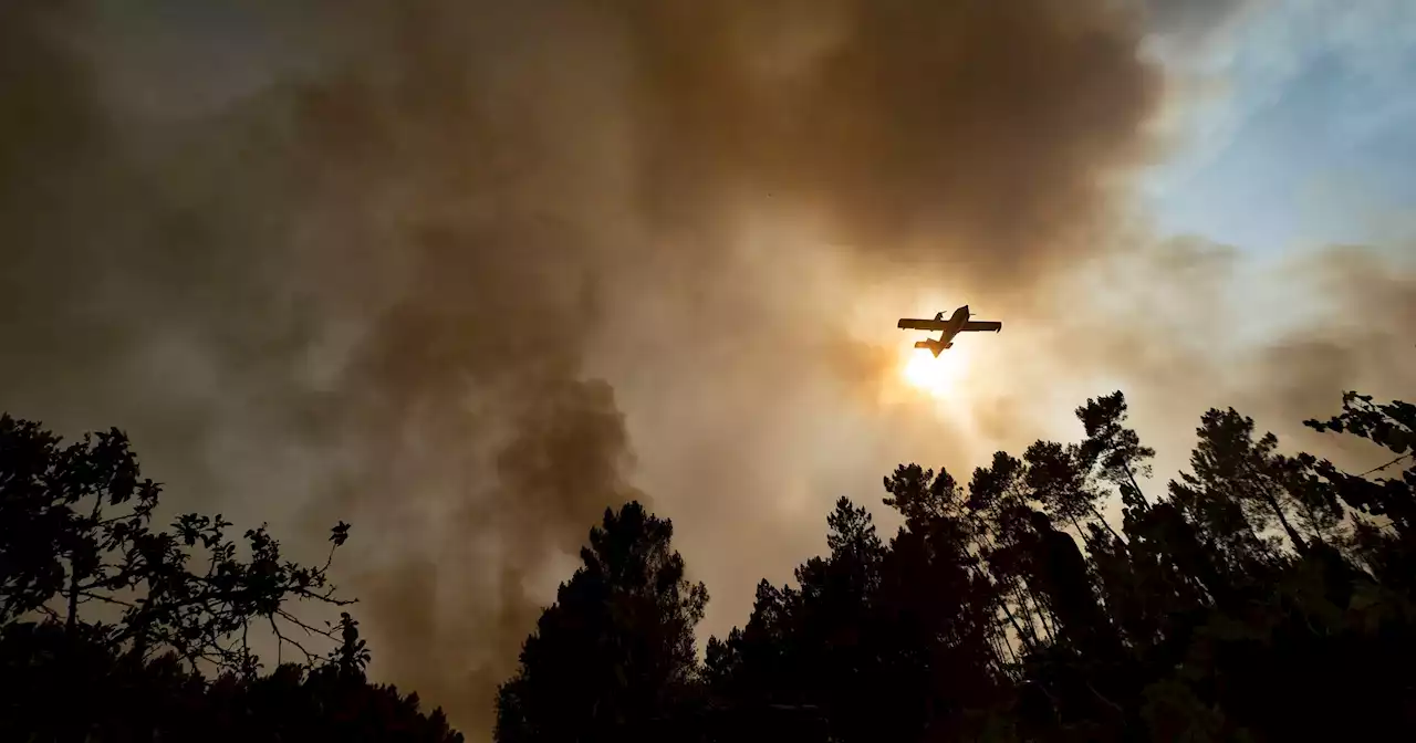 Quase todo o país em risco máximo de incêndio