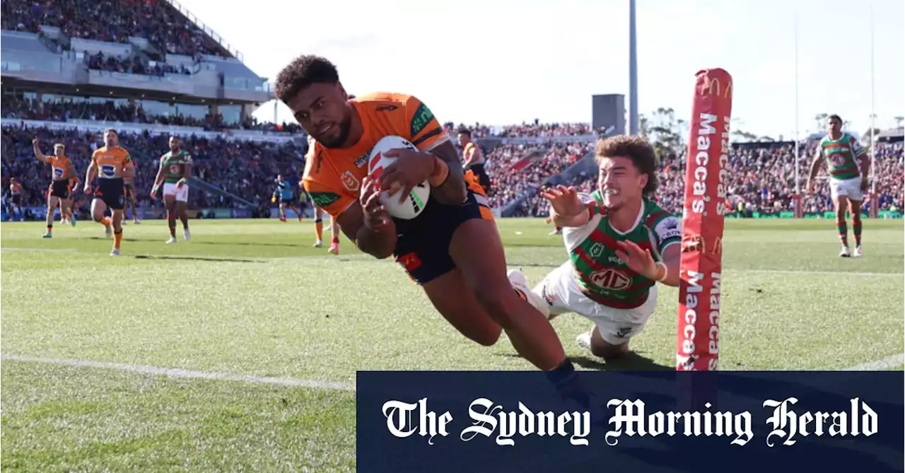 Seventh heaven: Ponga’s hi-viz heroes seal Bunnies boilover and rock finals race