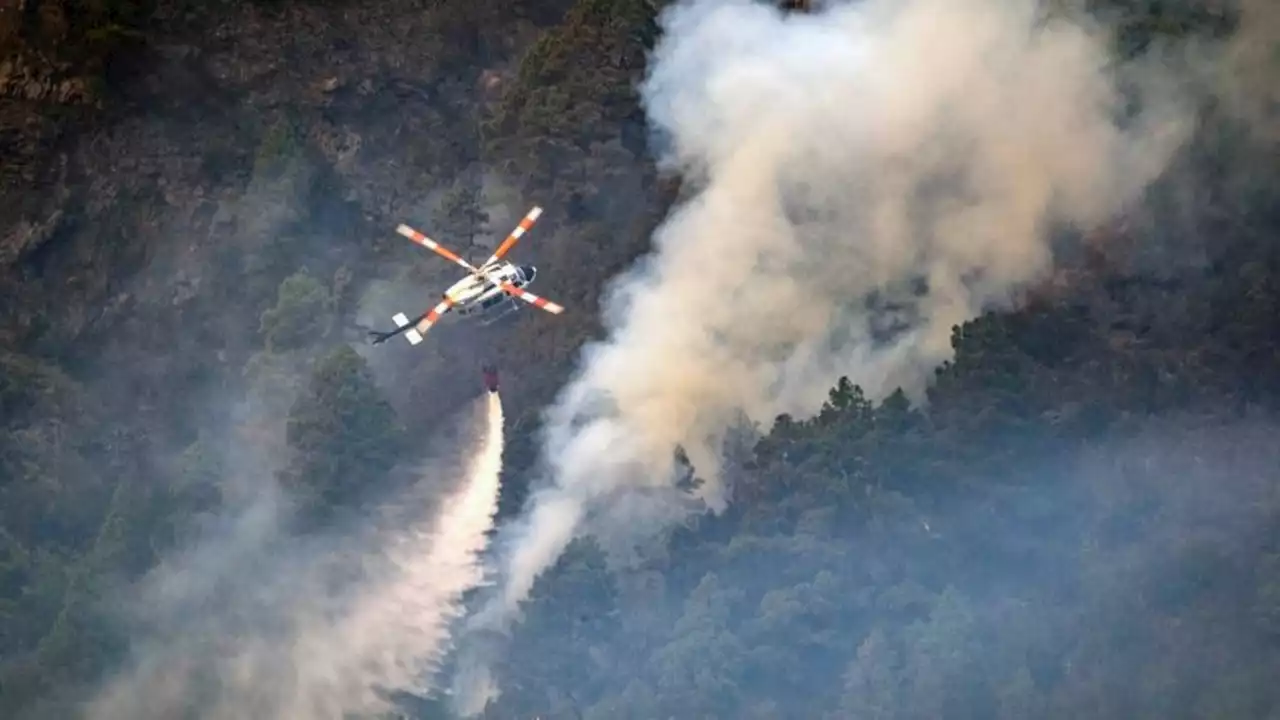 Waldbrand auf Teneriffa erfasst bereits 10.000 Hektar