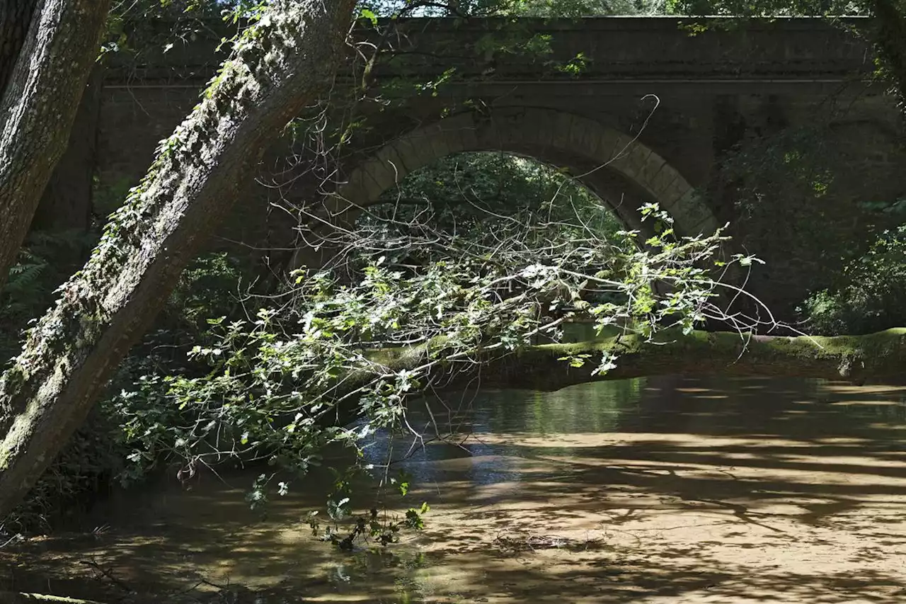 De plus en plus de cours d’eau en crise « sécheresse » dans les Landes