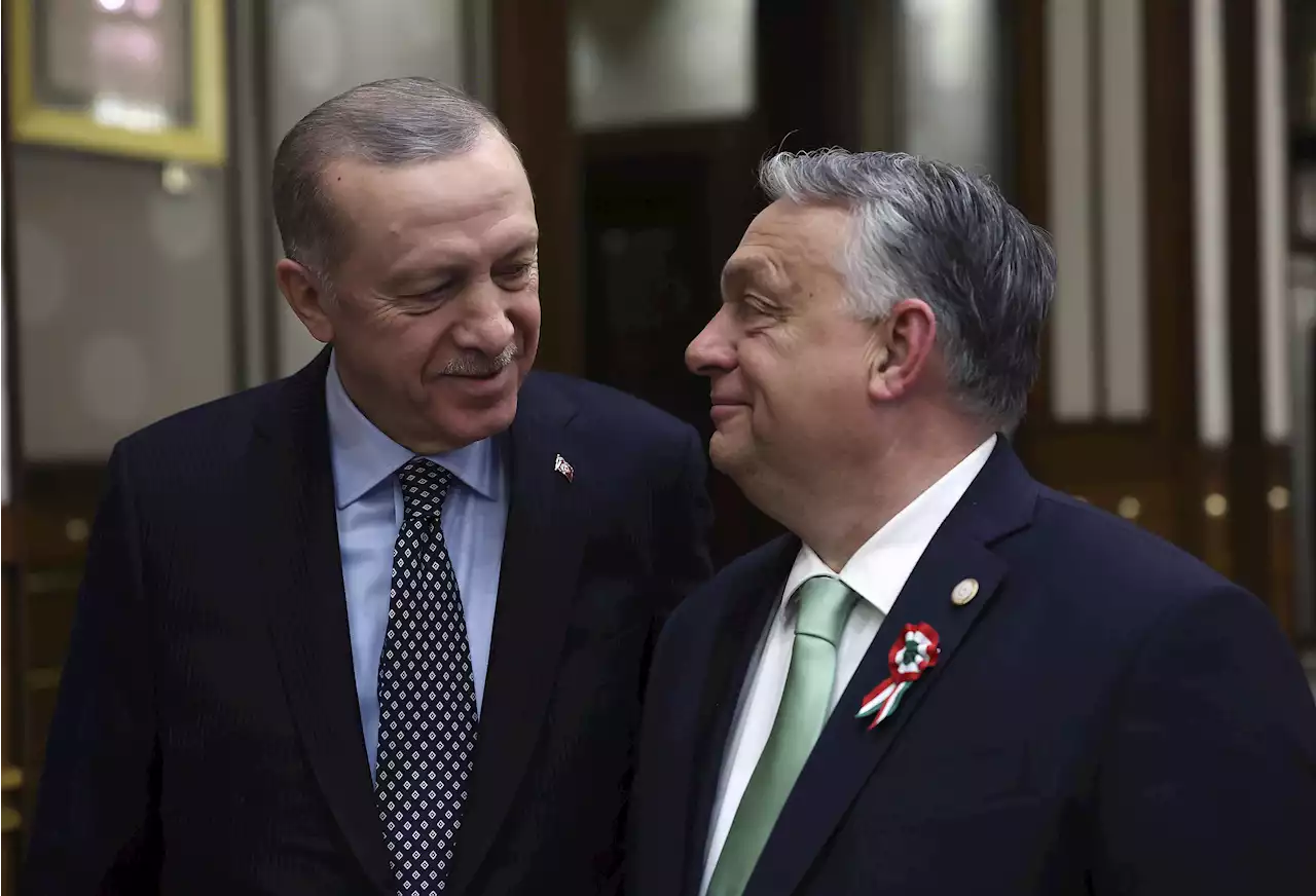 Erdogan möter Orbán – kommer blågult Natodatum?