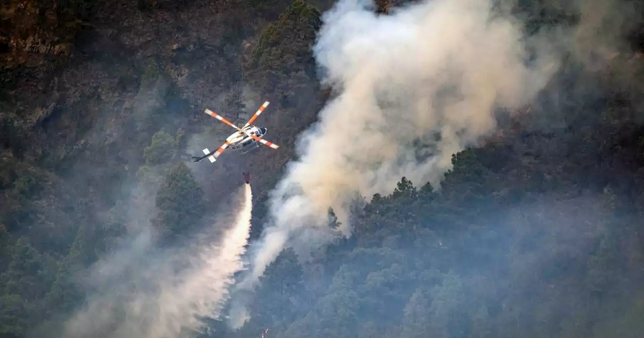 Notfälle: Waldbrand auf Teneriffa erfasst bereits 10.000 Hektar