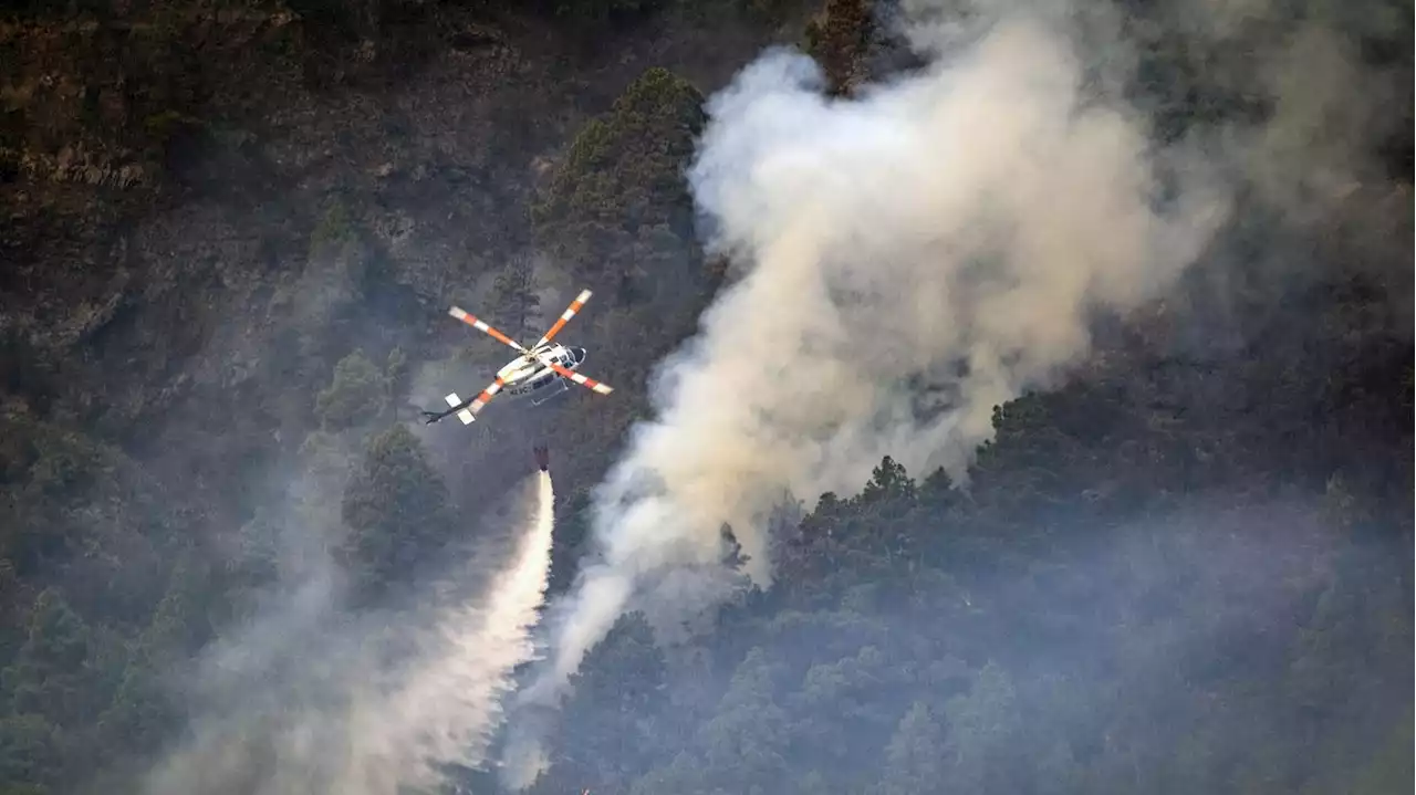 Einer der schlimmsten Waldbrände auf Teneriffa: „Das Feuer übersteigt unsere Löschmöglichkeiten“