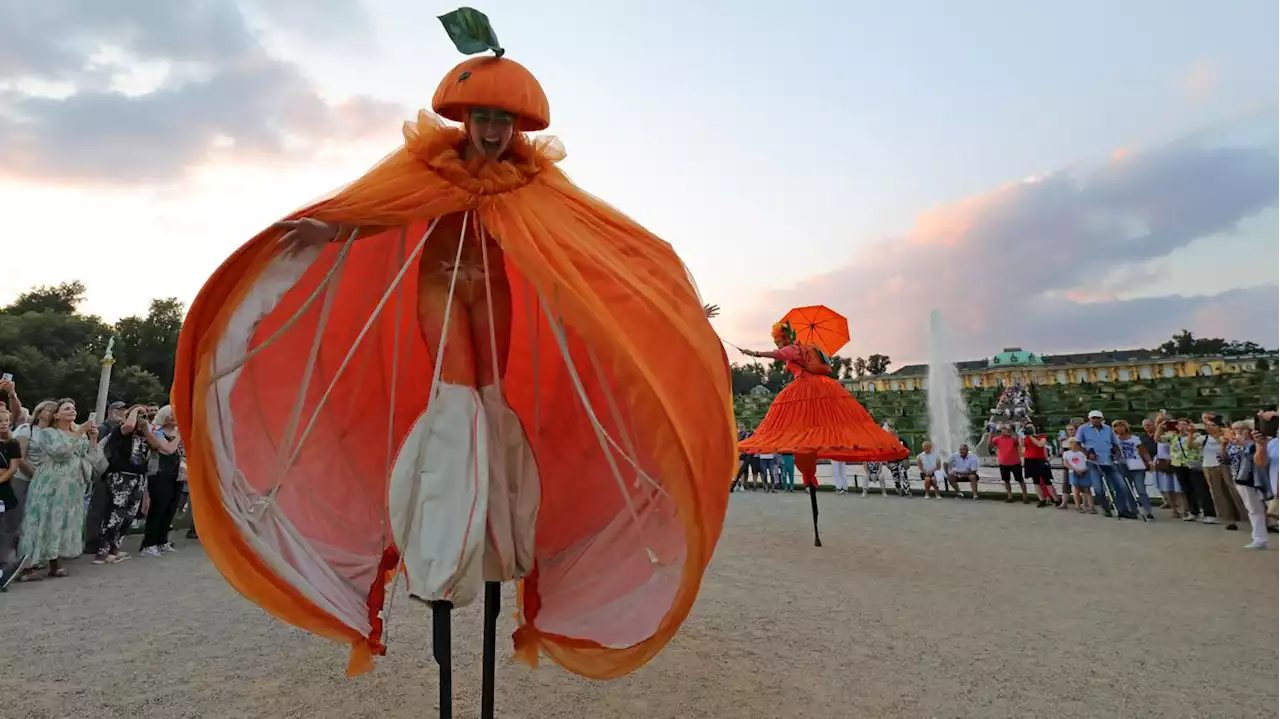 Potsdamer Schlössernacht in Potsdam: Eine Orange auf Stelzen und ein Krimi unter Palmen