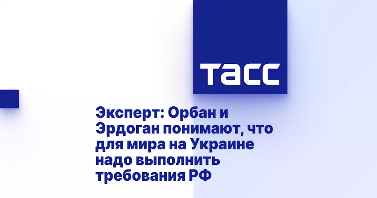 Эксперт: Орбан и Эрдоган понимают, что для мира на Украине надо выполнить требования РФ