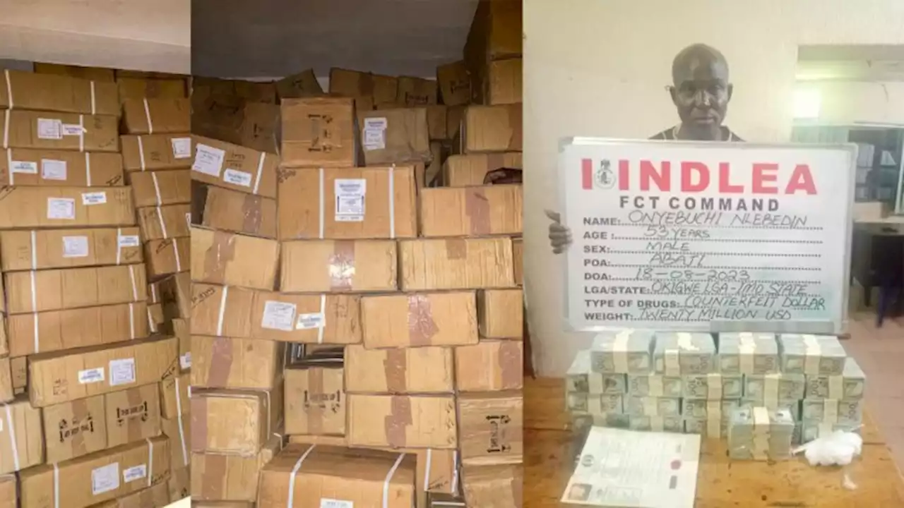 NDLEA intercepts 'fake' $20m cash in Abuja, recovers N4.8bn opiods in Lagos