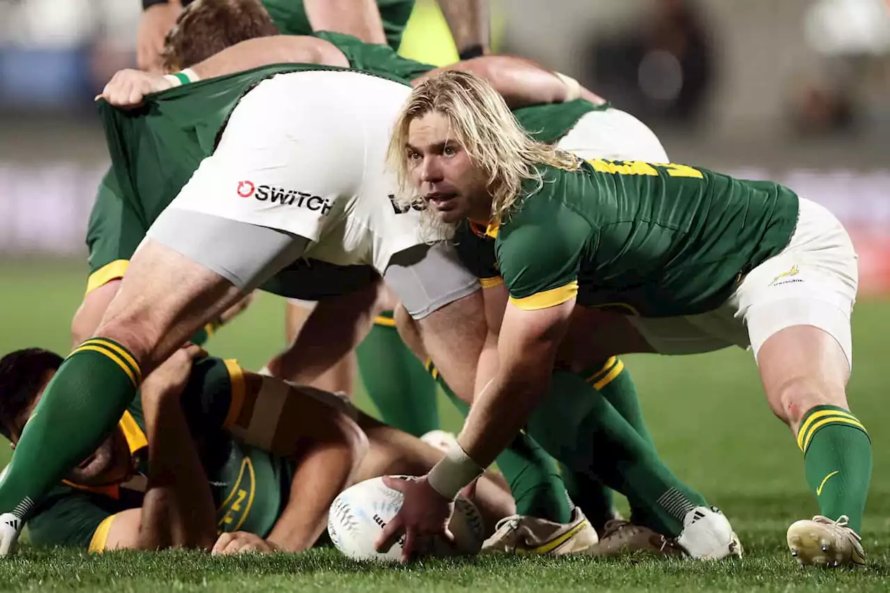 Variation key for Springboks' game plan — Faf de Klerk