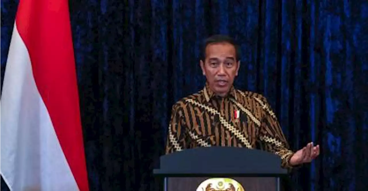 Indonesian president to attend BRICS summit in South Africa