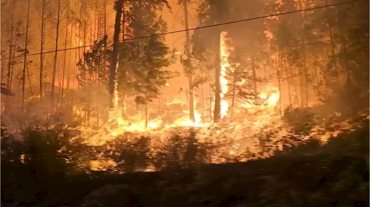 Canadá, en llamas: se fusionaron dos grandes incendios forestales y más de 30.000 personas fueron evacuadas