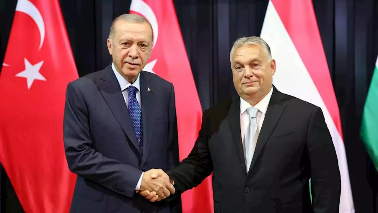 Turkish President Erdogan in Hungary for National Day celebrations