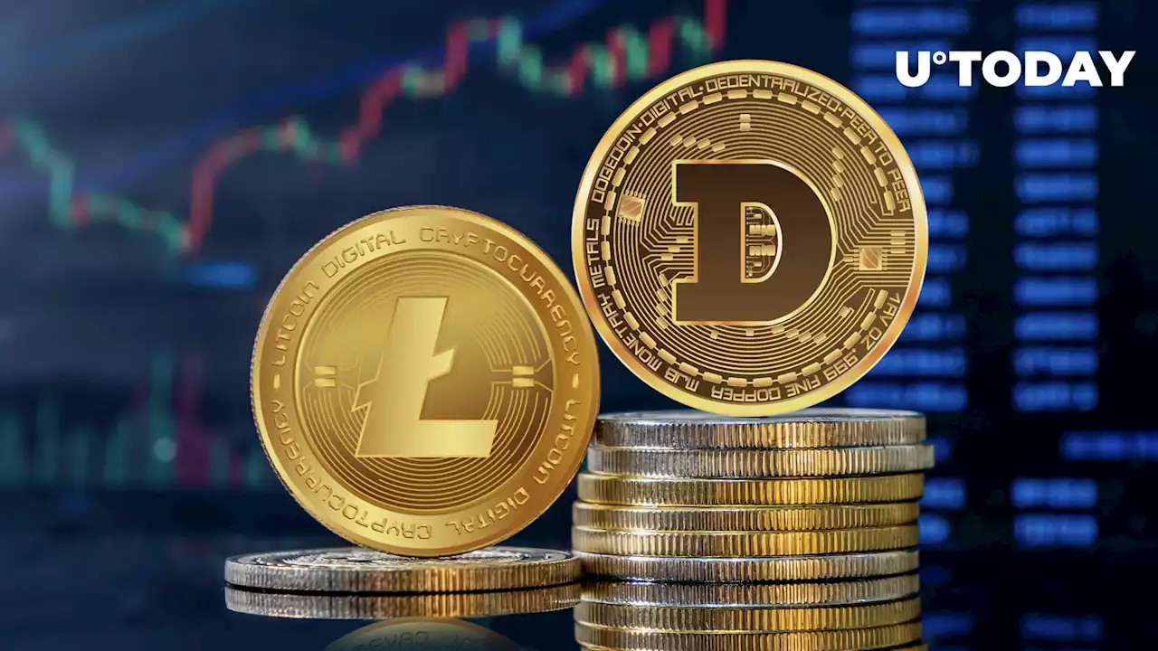 Litecoin and Dogecoin Stand Out With Increased Activity