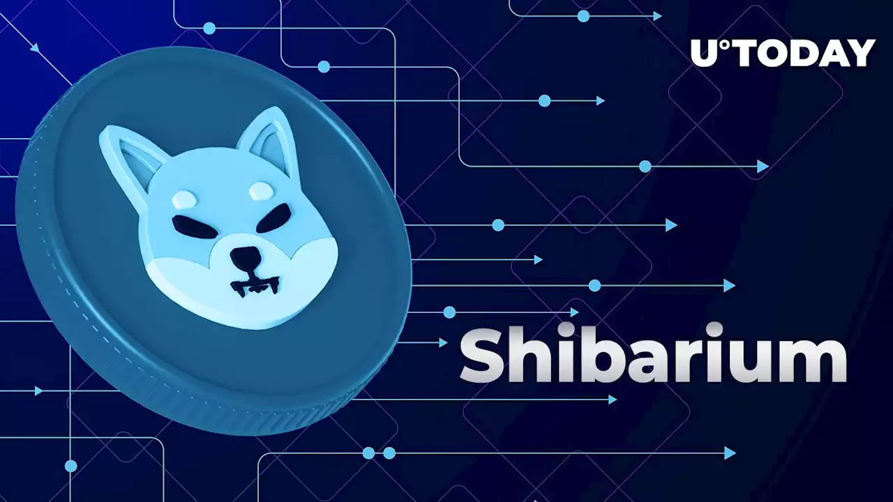 Shiba Inu: Shibarium Live but in Private Mode, Here's Latest Update