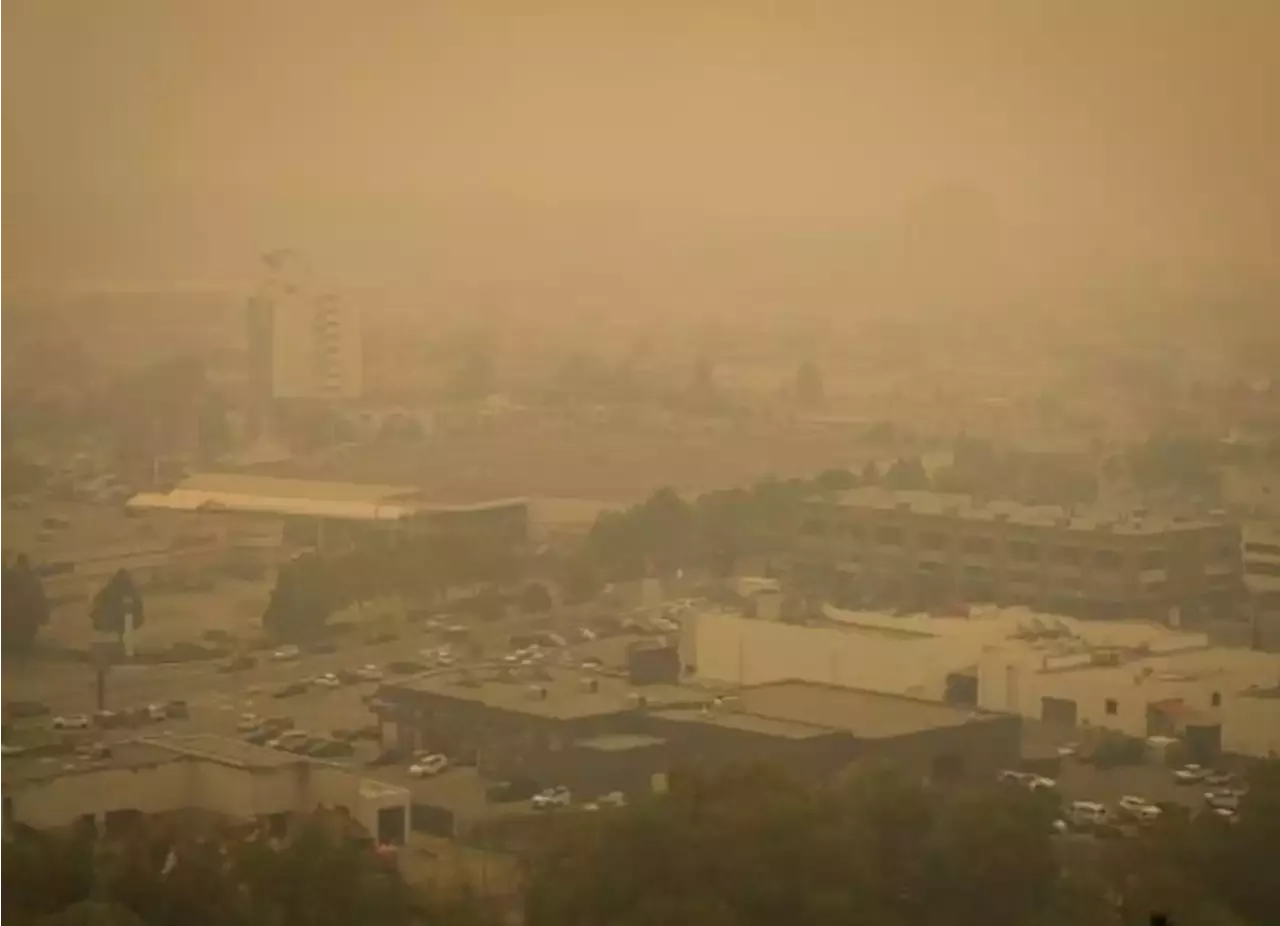 Luchan Bomberos En Canadá Contra Voraz Incendio Forestal; Declaran ...