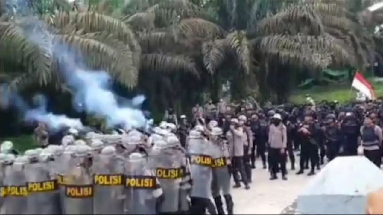 Massa Pekerja Sawit di Bengkayang Bentrok dengan Aparat, Mobil Polisi Dirusak