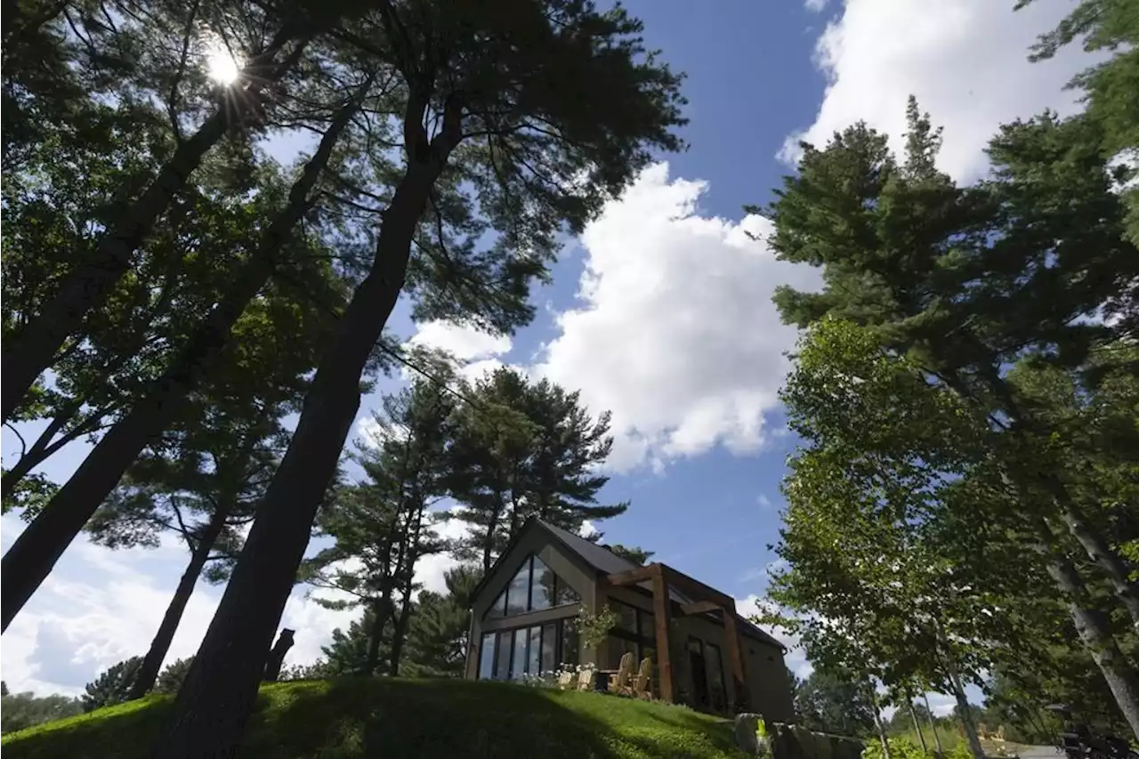 Planting roots: Quebec cemetery turns former golf course into forest for the deceased