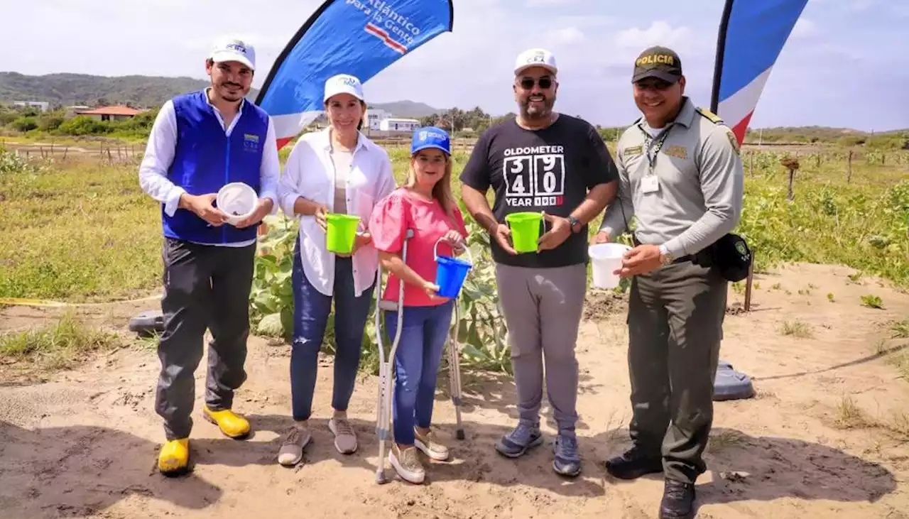 Gobernadora comenzó siembra de mangles para crear barrera natural en Salinas del Rey