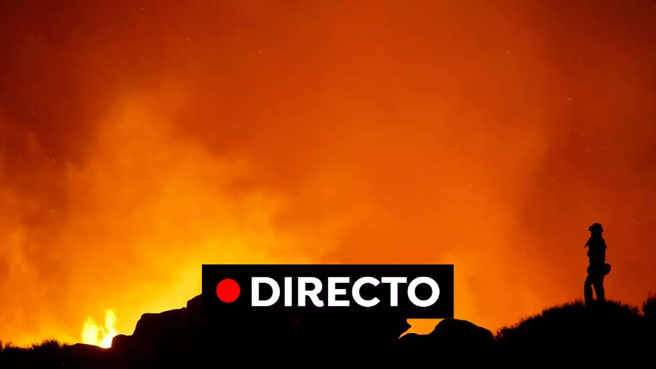 Incendio Tenerife, última hora: Pedro Sánchez viaja a Tenerife, las llamas ya calcinan 12.800 hectáreas