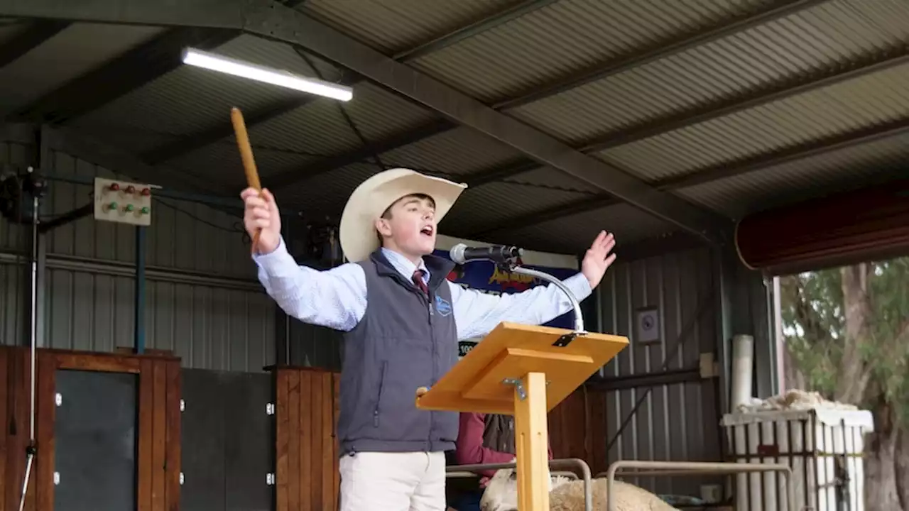 'Extreme public speaking': Teen livestock auctioneers put to the test in saleyard showdown