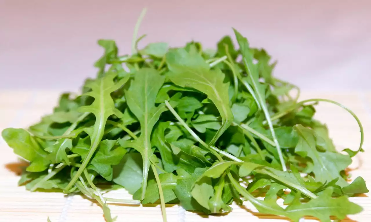 Listeria : de la roquette vendue chez Auchan rappelée dans toute la France